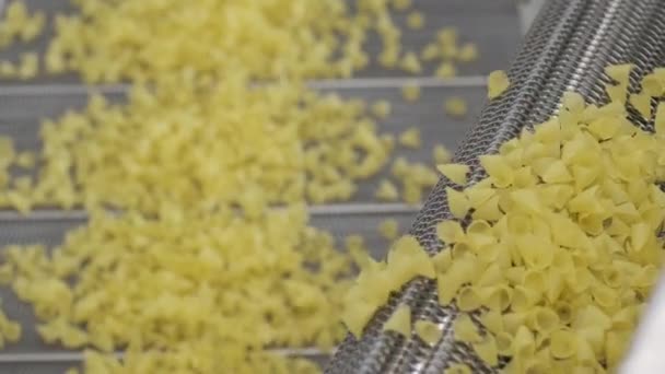 Productie fabriek lijn beweegt aardappel snackes. Productielijn van de deegwarenfabriek, deegwaren - Video