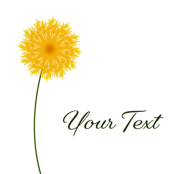 Vector handgezeichnet Aquarell gelb kreisförmigen Blumenkranz mit blühenden Frühlingsblumen, grüne Blätter auf weißem isolierten Hintergrund. - Vektor, Bild