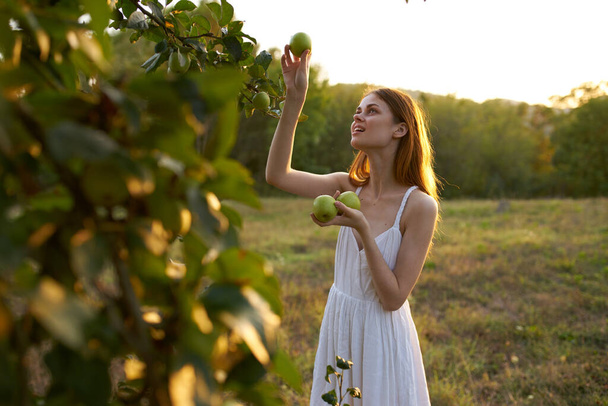 vrouw in de buurt van bomen met rijpe appels in handen op weide in bergen - Foto, afbeelding