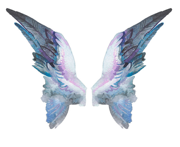 Aquarel tekent engelenvleugels. Set van clipart vogel vleugel in verschillende hoeken. vrijheid of creativiteit. handgetekend element van pegasus, vogel, engel, papegaai, fabelachtig fictief wezen, feeën - Foto, afbeelding