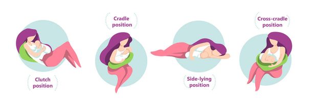 Conjunto de diferentes poses de lactancia materna, incluyendo la cuna, la cuna cruzada, la posición lateral y el embrague. Ilustración de vector de estilo plano. - Vector, Imagen