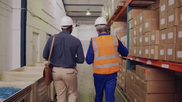 Widok z tyłu dwóch wieloetnicznych pracowników i biznesmenów spacerujących w pobliżu półek fabryki logistyki - Materiał filmowy, wideo