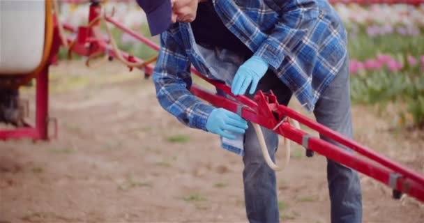 Mezőgazdasági üzemek virágültetvényein traktorral dolgozó mezőgazdasági termelő - Felvétel, videó