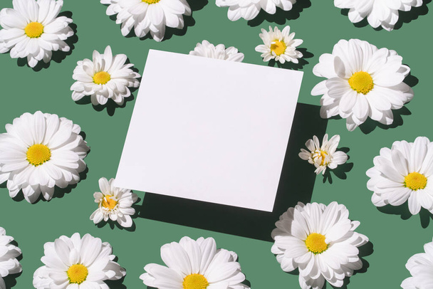 Deniz yeşili arka planda beyaz papatya çiçekleri ve beyaz kart notu. Parlak ışık, boşluğu kopyala. - Fotoğraf, Görsel