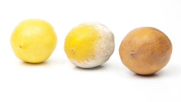 Mätä sitruuna tuoreiden sitruunoiden vieressä valkoisella pohjalla - Valokuva, kuva