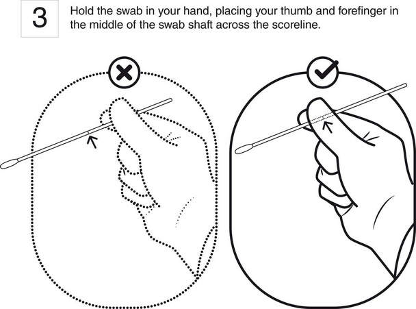 3-Hold the swab in your hand (true and false way) - Vector, Image