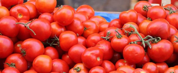 tomates maduros empilhados em uma caixa no mercado, suculentos tomates vermelhos maduros ao sol, vegetais vermelhos - Foto, Imagem