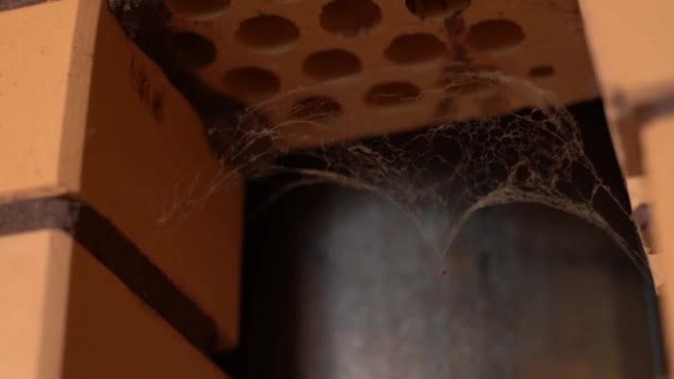 A pókháló ringatózik a forró levegő áramlásától a kemence csövéből. - Felvétel, videó