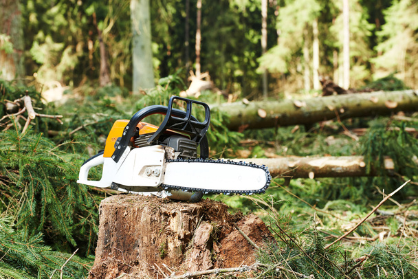 Chainsaw on cut wood in forest - Фото, зображення