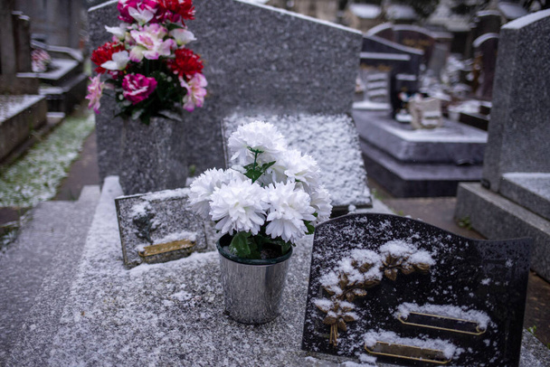 λευκά λουλούδια σε χιονισμένο νεκροταφείο, χιονισμένο καιρό. Χειμερινές διακοπές. - Φωτογραφία, εικόνα