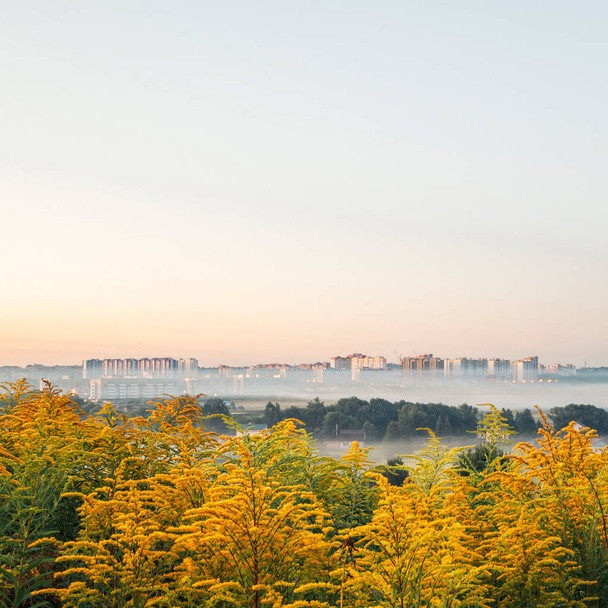 Town Oryol in the morning before dawn in the fog, Solidago canadensis blossoms with bright yellow flowers - Photo, Image
