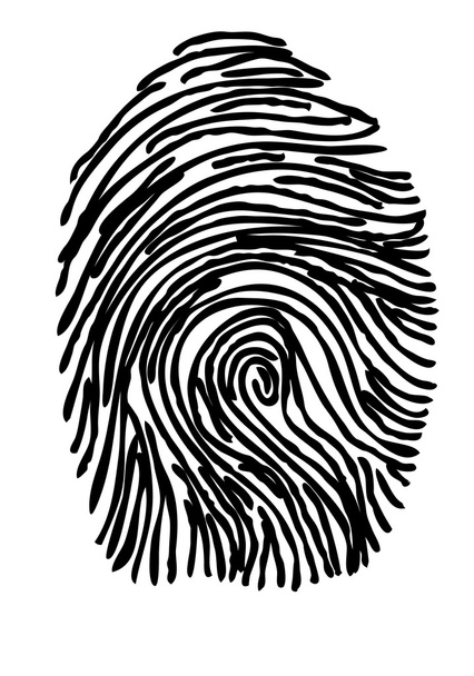 fingerprint - Vector, Image