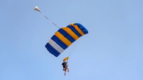 Paracaidistas en tándem contra un cielo azul claro con paracaídas abiertos listos para aterrizar - Foto, Imagen
