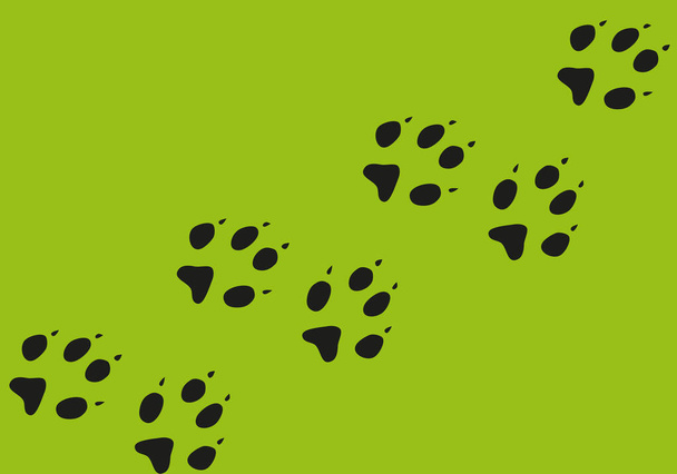 Cat footprints. Cats or dogs travel footprints. Black domestic animals paw prints isolated on green background. - Photo, Image