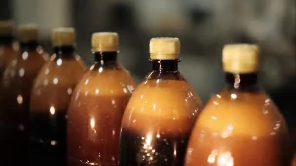 Bottiglie per animali da compagnia riempite di birra su una linea di trasportatori. - Filmati, video