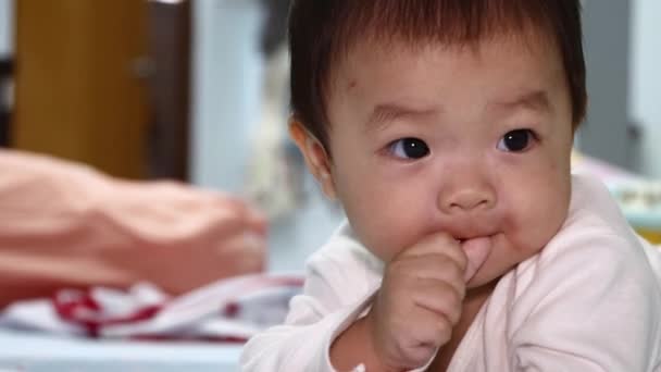 Muotokuva 8 kuukautta Aasian kiinalainen vauva poika makaa vatsallaan sängyssä imevät sormet. - Materiaali, video