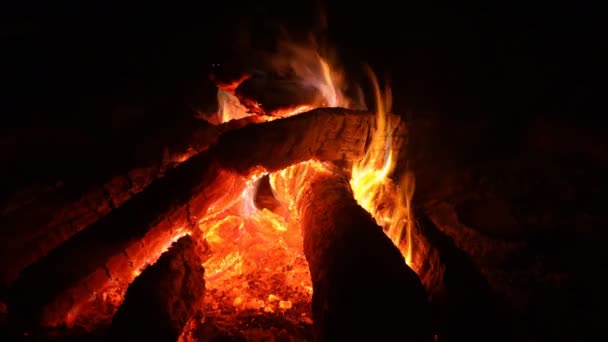 Vuurvlammen vonken deeltjes met brandende vlammen - Video