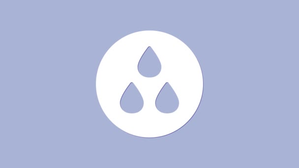 Icono de gota de agua blanca aislado sobre fondo púrpura. Animación gráfica de vídeo 4K - Metraje, vídeo