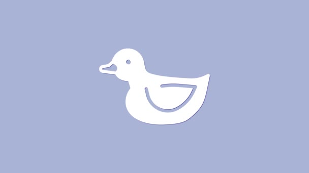 Icône canard en caoutchouc blanc isolé sur fond violet. Animation graphique de mouvement vidéo 4K - Séquence, vidéo
