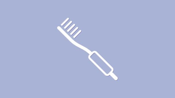 Иконка белой зубной щетки выделена на фиолетовом фоне. Видеографическая анимация 4K - Кадры, видео