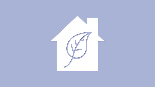 Fehér környezetbarát ház ikon elszigetelt lila háttér. Öko-ház levéllel. 4K Videó mozgás grafikus animáció - Felvétel, videó