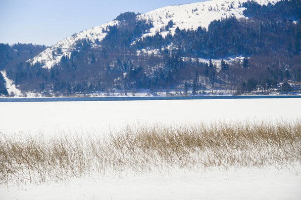 Abant-järvi (turkki: Abant Gl) on makean veden järvi Turkin Bolun maakunnassa Luoteis-Anatoliassa. Jäätyy talvella. - Valokuva, kuva