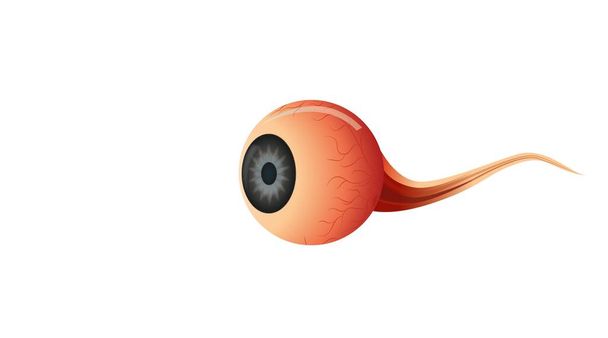 ilustración de anatomía ocular para trabajos médicos - Foto, Imagen