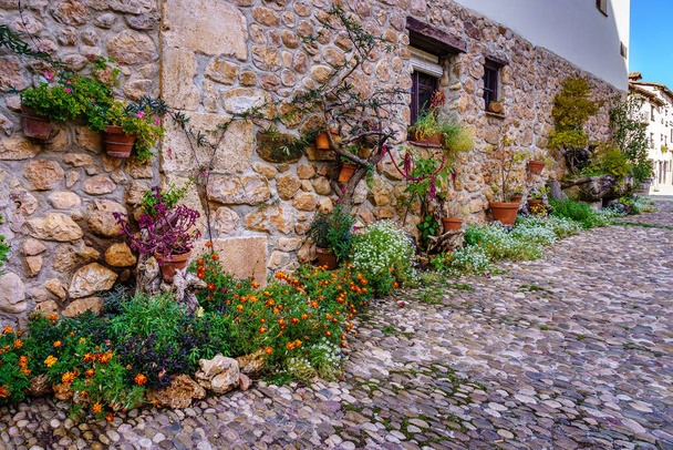 Plantas y flores en una fachada de una casa medieval de piedra en Covarrubias, España. Europa - Foto, Imagen