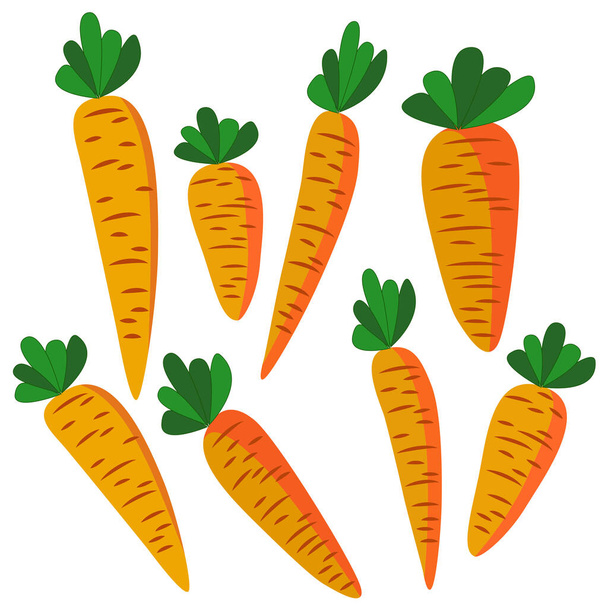 dibujar zanahorias, aislar sobre un fondo blanco, ilustración vectorial, dibujo para diferentes diseños - Vector, Imagen