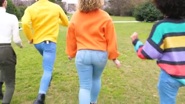 Grupa czterech osób przyjaciół biegających w parku, świętujących i śmiejących się razem, bawiących się swobodnie - Materiał filmowy, wideo