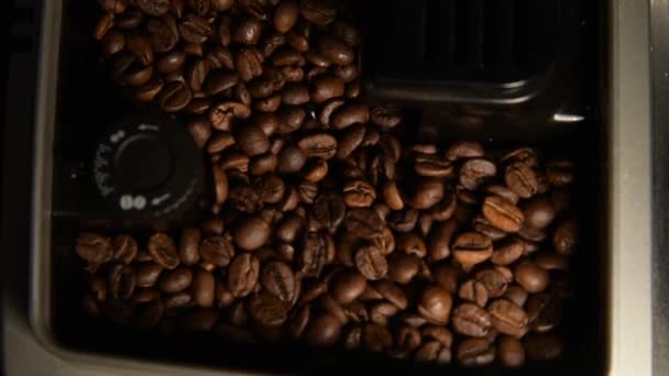 Kaffeebohnen in der Kaffeemaschine Tablett - Filmmaterial, Video