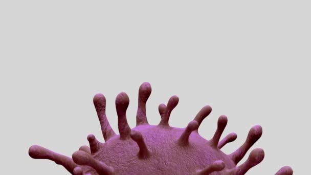 3D απεικόνιση του ιού της γρίπης coronavirus επιπλέει σε υγρό μικροσκοπική άποψη, ένα παθογόνο που επιτίθεται στην αναπνευστική οδό. Πανδημία της έννοιας της λοίμωξης από τον ιό Covid19 -Dan - Πλάνα, βίντεο