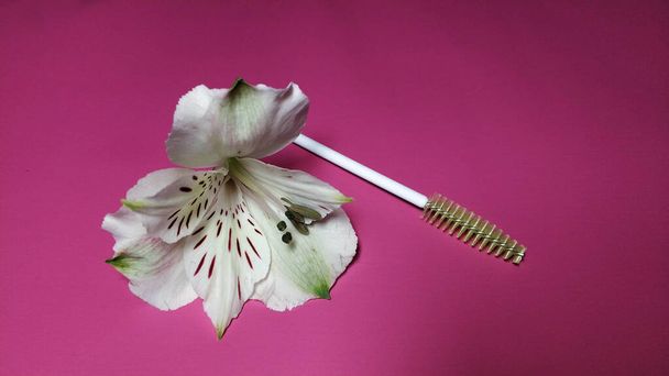 White alstroemeria flower with eyelash brushes on a pink background - Photo, Image