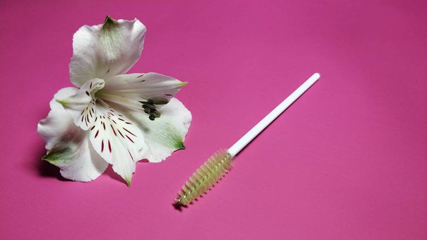 Pembe arka planda kirpik fırçalı beyaz alstroemeria çiçeği - Fotoğraf, Görsel