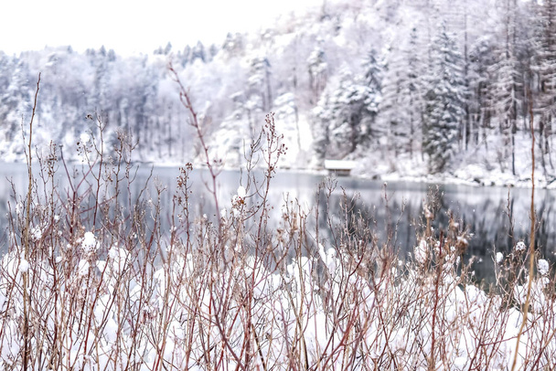Χειμερινό τοπίο στη λίμνη Alpsee σε μια κρύα μέρα στη Βαυαρία, Γερμανία. Τα δέντρα και τα βουνά είναι καλυμμένα με χιόνι. Οι αντανακλάσεις είναι στο νερό. - Φωτογραφία, εικόνα