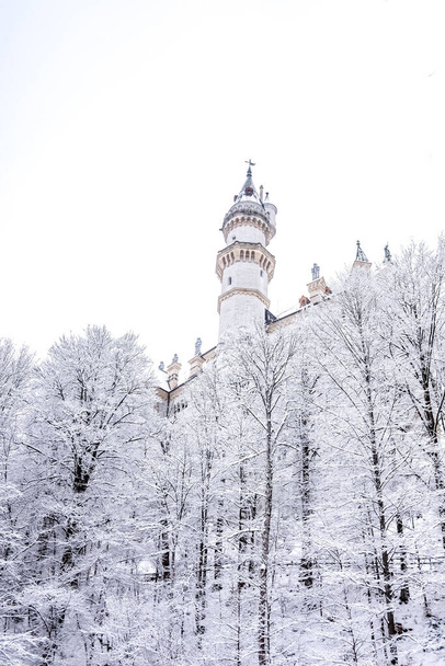 Kış boyunca Almanya 'daki Schloss Neuschwanstein Kalesi' nde. Ağaçlar karla kaplıdır..  - Fotoğraf, Görsel