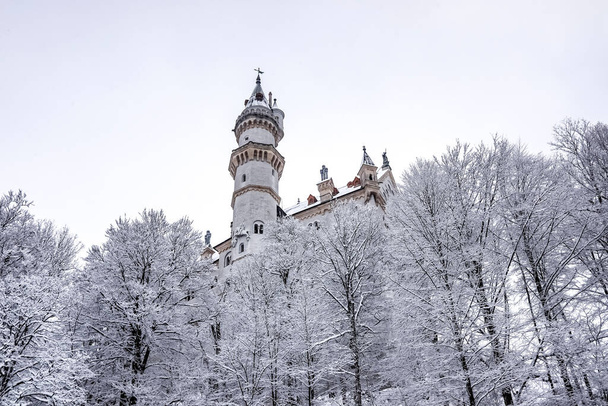 冬の間、ドイツのシュロス・ノイシュヴァンシュタイン城の塔。雪に覆われた木々.  - 写真・画像