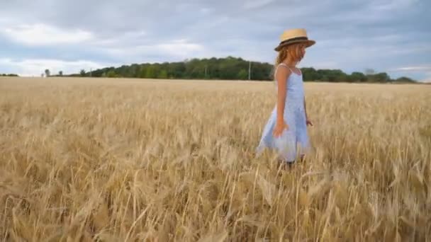Nahaufnahme eines schönen kleinen Mädchens mit langen blonden Haaren, das durch ein Weizenfeld geht. Nettes Kind mit Strohhut, das goldene Ähren berührt. Kleines Kind im Kleid geht über die Gerstenwiese - Filmmaterial, Video