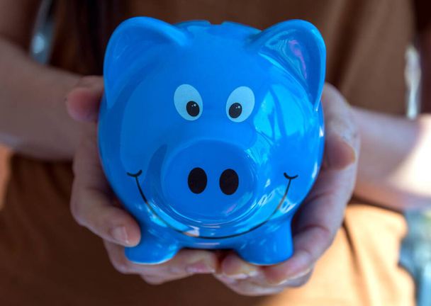 Sparschwein in der Hand, Sparschwein spart Geld - Foto, Bild