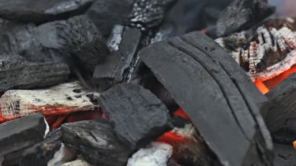 Embers gloeien in laaiend vuur brandende houtskool - Video