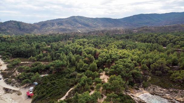 Costa do mar Egeu com vegetação ao redor, rochas, arbustos e árvores, colinas no fundo, vista do drone Grécia - Foto, Imagem