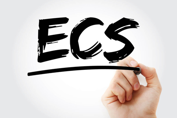 ECS - Elektronikus elszámolási szolgáltatás mozaikszó markerrel, üzleti koncepció háttér - Fotó, kép