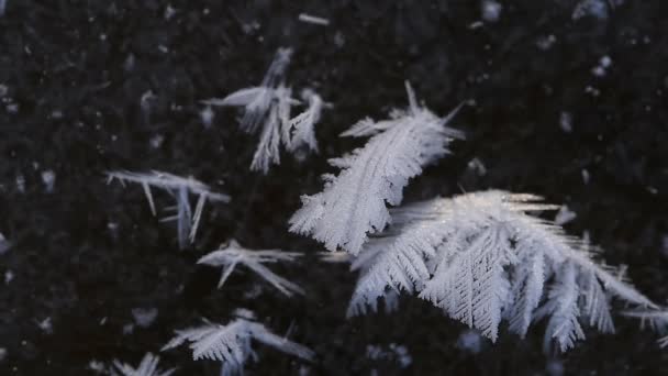 Ένας υπέροχος σχηματισμός κρύου στον πάγο. Παγωμένες νιφάδες χιονιού, η μοναδική ομορφιά του χειμώνα. - Πλάνα, βίντεο