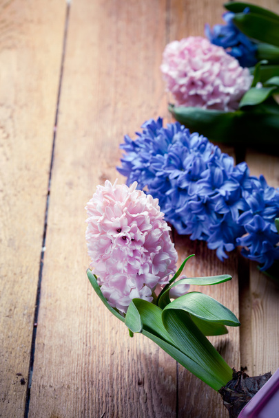 Beautiful hyacinth flowers on old wooden background, border comp - Photo, Image
