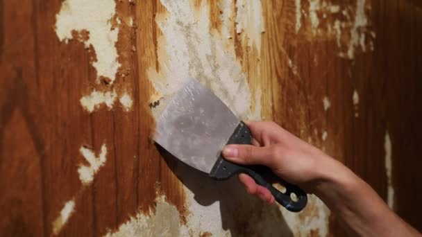 Die Wände in der Wohnung mit einem Spachtel reparieren, alte Tapeten entfernen - Filmmaterial, Video
