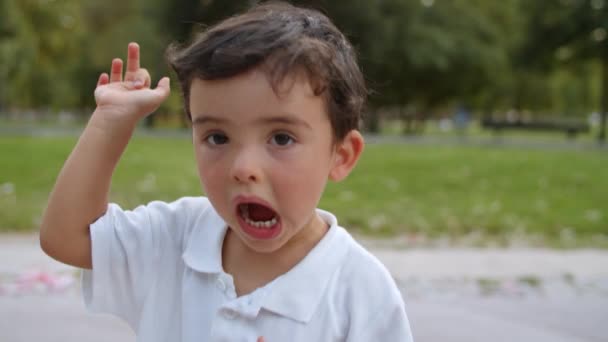 Γλυκό αστείο αγοράκι που στέκεται και ποζάρει στο καλοκαιρινό πάρκο - Πλάνα, βίντεο