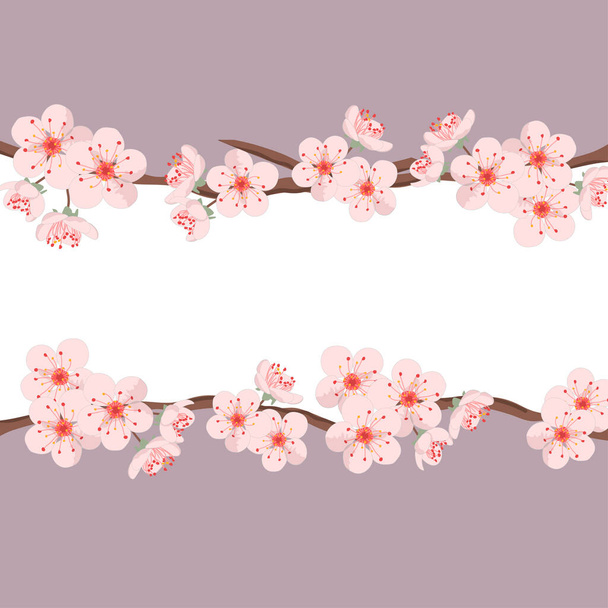Cseresznyevirág ágok keret. Elszigetelt virágok  - Vektor, kép