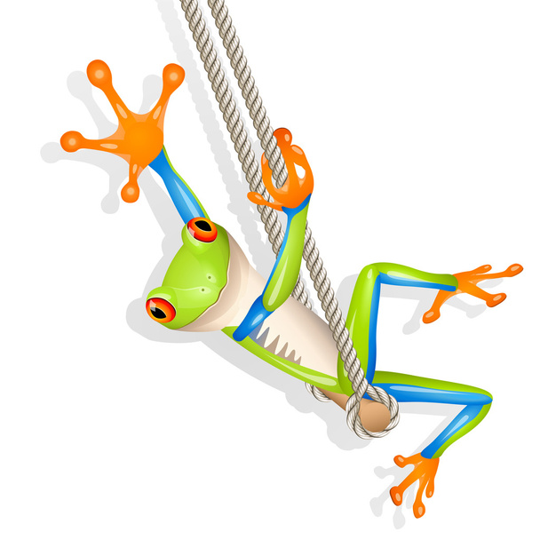 Tree frog op een schommel - Vector, afbeelding