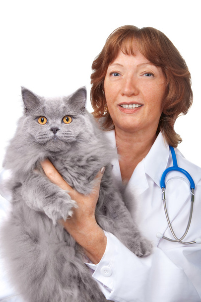 Veterinarian with cat isolated - Fotó, kép