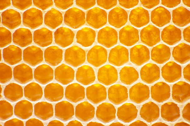 Bienenfrischer Honig in Waben. Hintergrund und Textur. Vitamin natürliche Nahrung. Arbeitsprodukt Biene - Foto, Bild